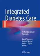 Janice C Zgibor, David Simmons, Helmu Wenzel, Helmut Wenzel, Janice Zgibor, Janice C. Zgibor - Integrated Diabetes Care
