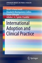 Elizabeth Montgomer Collins, Elizabeth Montgomery Collins, G, Susan Gillespie, Heid Schwarzwald, Heidi Schwarzwald... - International Adoption and Clinical Practice