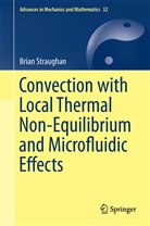 Brian Straughan - Convection with Local Thermal Non-Equilibrium and Microfluidic Effects