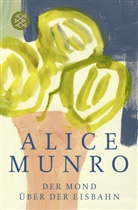 Alice Munro - Der Mond über der Eisbahn