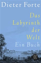 Dieter Forte - Das Labyrinth der Welt