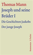 Jan Assmann, Dieter Borchmeyer, Thomas Mann, Jan Assmann, Diete Borchmeyer, Dieter Borchmeyer... - Werke - Briefe - Tagebücher. GKFA - Bd. 7: Joseph und seine Brüder. Tl.1