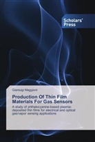 Gianluigi Maggioni - Production Of Thin Film Materials For Gas Sensors