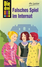 Maja Vogel, Maja von Vogel - Die drei !!!, Falsches Spiel im Internat