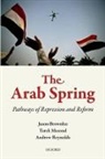 Jason Brownlee, Jason (Associate Professor Brownlee, Jason Masoud Brownlee, Brownlee Jason, Tarek Masoud, Tarek (Associate Professor Masoud... - Arab Spring