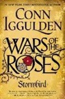 Conn Iggulden - Stormbird