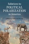 Nathaniel Persily, Nathaniel Persily, Persily Nathaniel - Solutions to Political Polarization in America