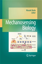 Masak Noda, Masaki Noda - Mechanosensing Biology