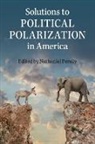 Nathaniel Persily, Nathaniel Persily - Solutions to Political Polarization in America