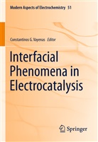 Constantino G Vayenas, Constantinos G Vayenas, Constantinos G. Vayenas, Costas G Vayenas - Interfacial Phenomena in Electrocatalysis