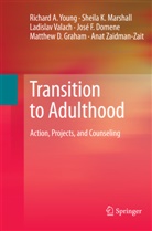 Jose Domene, José F. Domene, Matthew D. Graham, Sheila Marshall, Sheila K Marshall, Sheila K. Marshall... - Transition to Adulthood
