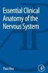 Paul Rea, Paul (Laboratory of Human Anatomy Rea, Rea Paul - Essential Clinical Anatomy of the Nervous System