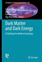 Monic Colpi, Monica Colpi, Vittorio Gorini, Vittorio Gorini et al, Sabino Matarrese, Ugo Moschella - Dark Matter and Dark Energy