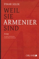 Pinar Selek, Dorothea Dieckmann - Weil sie Armenier sind