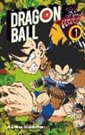 Akira Toriyama - Dragon Ball Color 1