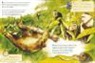 Neil Reed - La selva