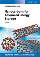 Xinliang Feng, Xinlian Feng, Xinliang Feng - Nanocarbons for Advanced Energy Storage