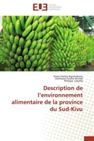 Philippe Lebailly, Germaine Furah Mirindi, Germaine Furaha Mirindi, Stan Vwima Ngezirabona, Stany Vwima Ngezirabona - Description de l environnement