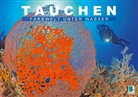 Calvendo - Tauchen: Farbwelt unter Wasser (Tischaufsteller DIN A5 quer)