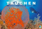 Calvendo - Tauchen: Farbwelt unter Wasser (Posterbuch DIN A2 quer)