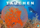 Calvendo - Tauchen: Farbwelt unter Wasser (Posterbuch DIN A3 quer)