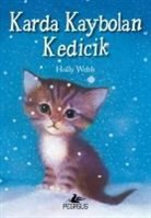 Holly Webb - Karda Kaybolan Kedicik