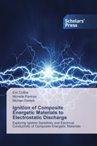 Eri Collins, Eric Collins, Michael Daniels, Michell Pantoya, Michelle Pantoya - Ignition of Composite Energetic Materials to Electrostatic Discharge