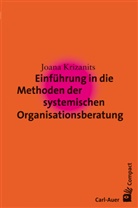 Joana Krizanits - Einführung in die Methoden der systemischen Organisationsberatung