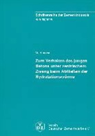 Wilhelm Hintzen - Zum Verhalten des jungen Betons unter zentrischem Zwang beim Abfliessen der Hydratationswärme