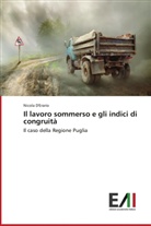 Nicola D'Erario - Il lavoro sommerso e gli indici di congruità