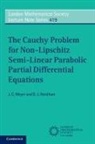 J. C. Meyer, J. C. (University of Birmingham) Meyer, J. C. (University of Birmingham) Needham Meyer, J. C. Needham Meyer, D. J. Needham, D. J. (University of Birmingham) Needham - Cauchy Problem for Non Lipschitz Semi Linear Parabolic Partial