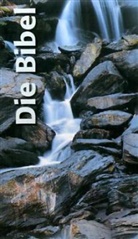 Bibelausgaben: Die Bibel, Schlachter Übersetzung, Version 2000, Miniaturbibel mit illustriertem Einband (Nr.255041)