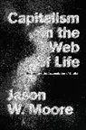 Jason Moore, Jason W. Moore, Moore Jason W. - Capitalism in the Web of Life