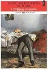 Johann Wolfgang von Goethe - Genc Wertherin Acilari