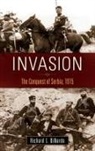 R. L. DiNardo, Richard Dinardo, Richard L. DiNardo, DiNardo Richard L. - Invasion