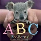 Andrew Bleiman, Andrew/ Eastland Bleiman, Chris Eastland - ABC Zooborns!