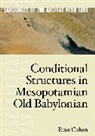 Eran Cohen - Conditional Structures in Mesopotamian Old Babylonian