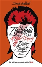 Simon Goddard - Ziggyology