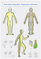 Laurent Richter - Wrist-Ankle Akupunktur: Körperzonen und Punkte, Poster