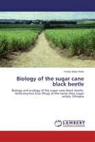 Tesfay Belay Reda - Biology of the sugar cane black beetle