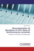 Gulsaz Shamim - Characterization of Mutations in Chl1 Gene of Saccharomyces cerevisiae