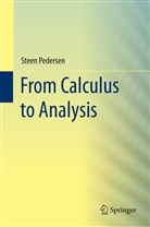Steen Pedersen - From Calculus to Analysis