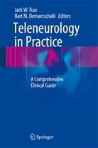 Bart M Demaerschalk, Bart M. Demaerschalk, M Demaerschalk, M Demaerschalk, Jack W Tsao, Jack W. Tsao... - Teleneurology in Practice