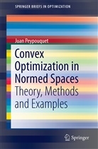 Juan Peypouquet - Convex Optimization in Normed Spaces