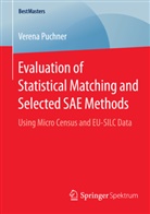 Verena Puchner - Evaluation of Statistical Matching and Selected SAE Methods