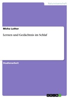Micha Luther - Lernen und Gedächtnis im Schlaf