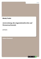 Mandy Franke - Anwendung des Jugendstrafrechts auf Heranwachsende