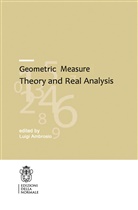 Luig Ambrosio, Luigi Ambrosio - Geometric Measure Theory and Real Analysis