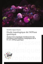 Noreddine Aggoun Baeyens, Baeyens-n - Etude topologique de l atpase