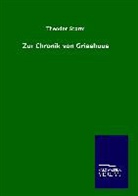 Theodor Storm - Zur Chronik von Grieshuus